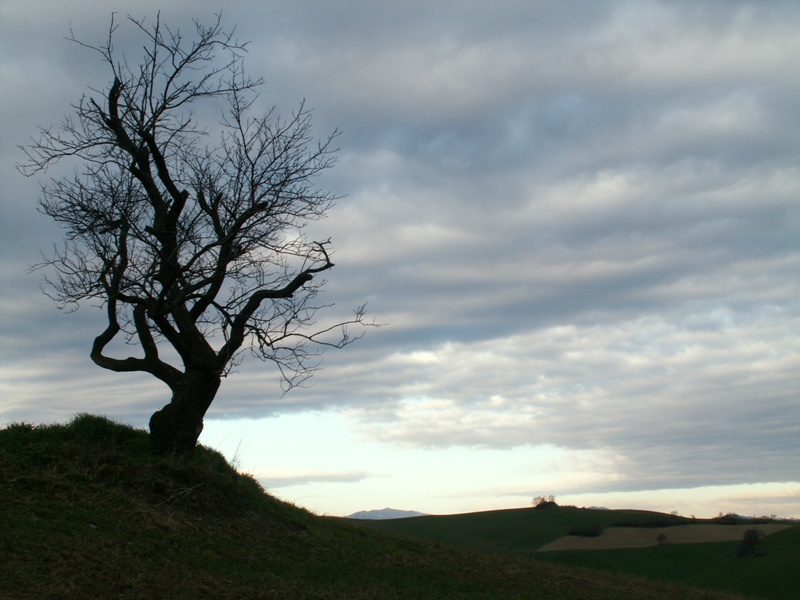 Variazioni (meteo) sul tema